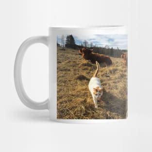 Scottish Highland Cattle Cows and cat 2360 Mug